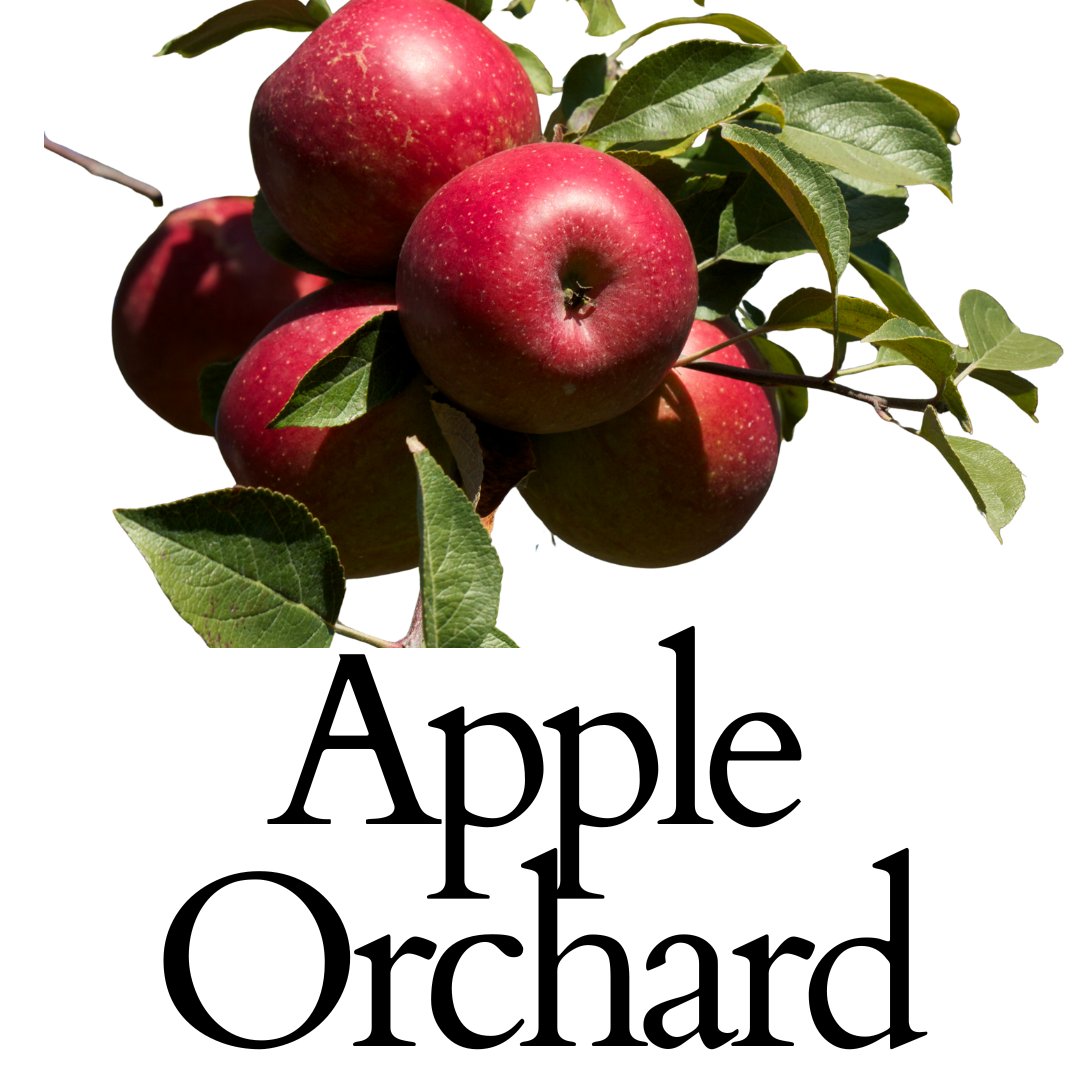 Apple Orchard - Car Freshener