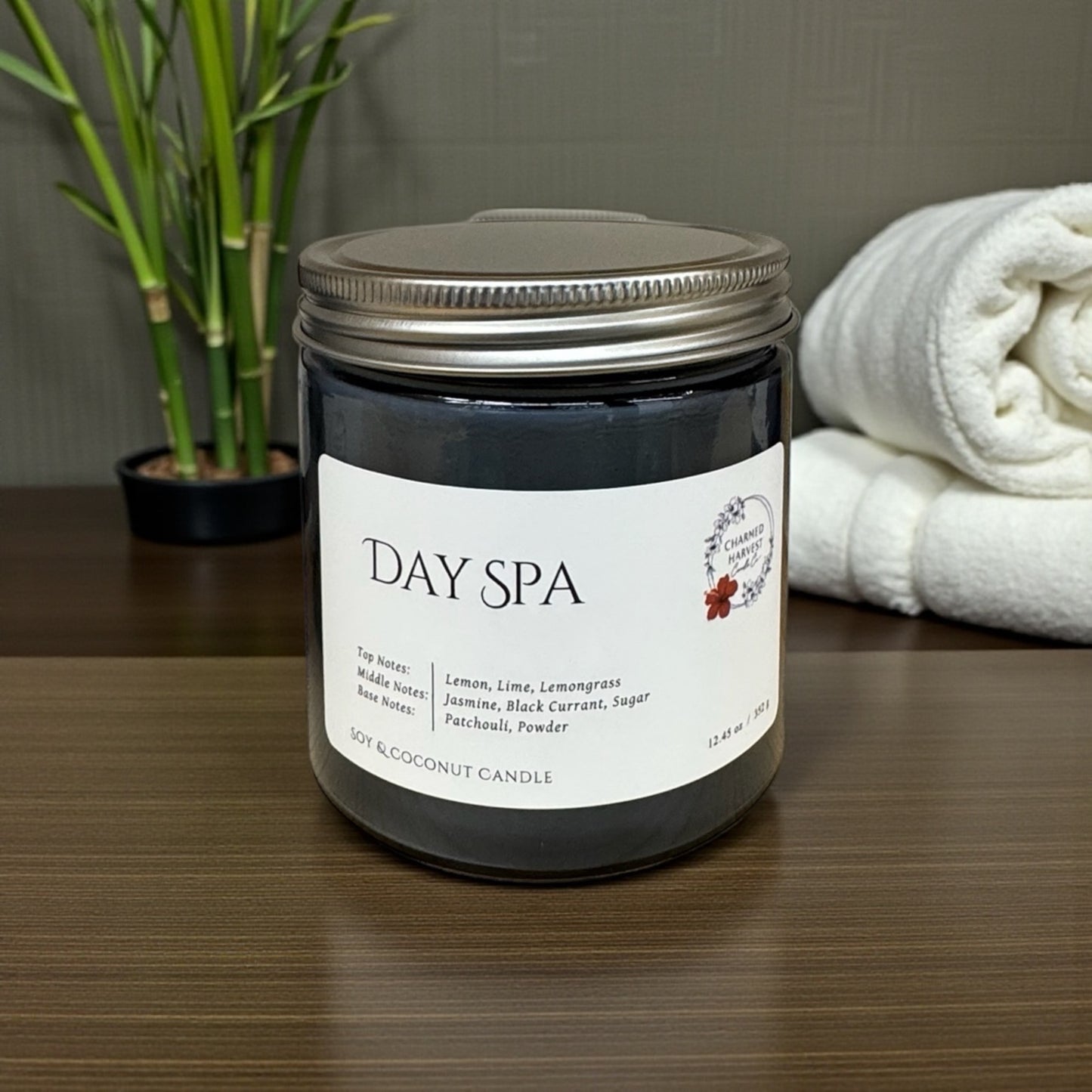Spa Day 13.43oz Candle